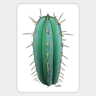 Trichocereus Sharxx Blue (Peruvianus) side Magnet